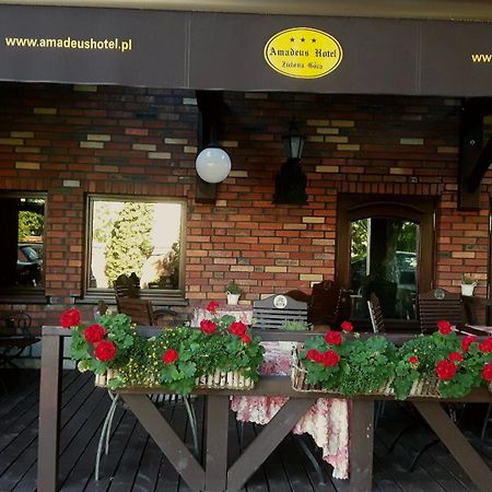 Amadeus Hotel Zielona Gora מראה חיצוני תמונה